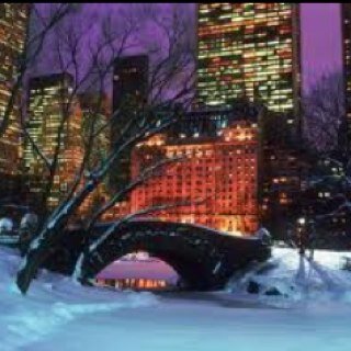 Sydney_of_NYC's profile picture. 