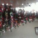 tammy sweeney - @tammy_sweeney - Twitter