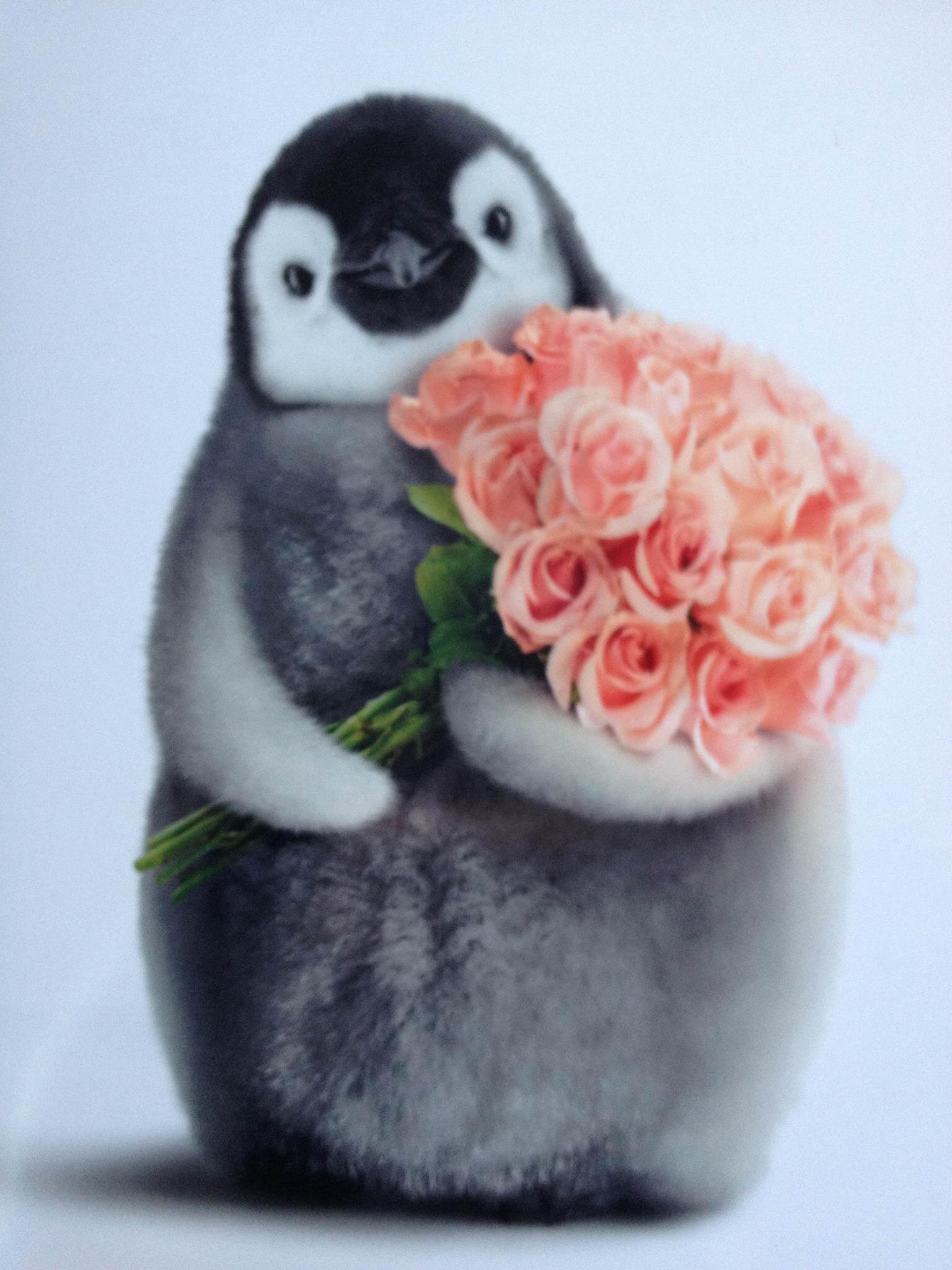 HavCourage's profile picture. Not being afraid to share what you think & learning to accept that not everyone will care about what you have to say.