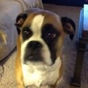 TAMMY WINNIE - @TACOWIN - Twitter