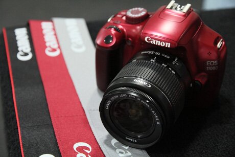 CarelVIRO's profile picture. 