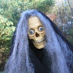 Anna Louise Magee (💜💀💚 Skullfragette 💜💀💚)さんのプロフィール画像