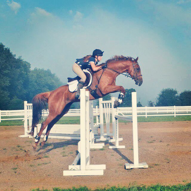 mare_probs's profile picture. OTTB's are the best. im an eventer, trying to make it big someday. Area VIII