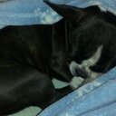 Trish Howell - @PhishTrish - Twitter