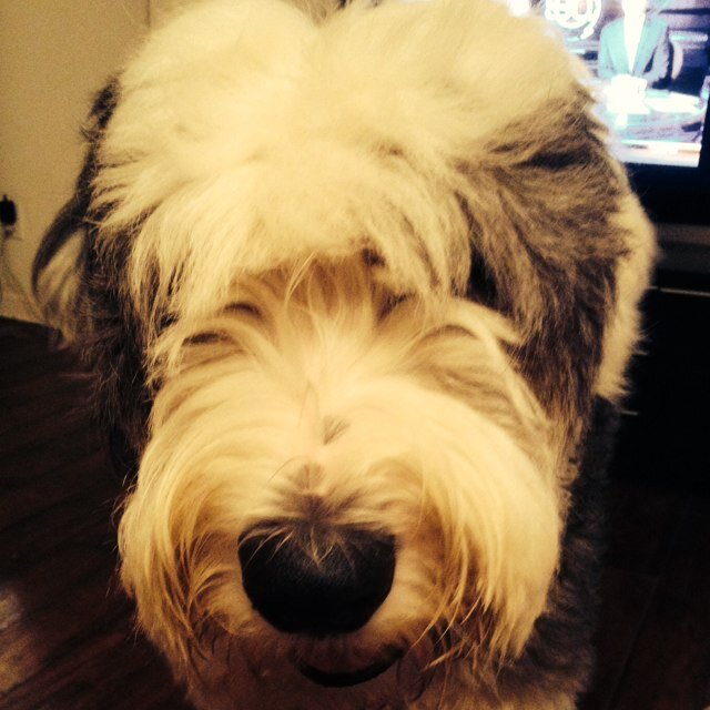 spicywasabix's profile picture. 