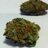 theweedfeed0420's profile image