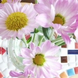 Naoko Hazamaさんのプロフィール画像