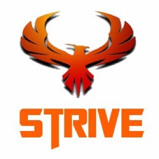 TeamStriVe4's profile picture. Up and Coming eSports Competitive team