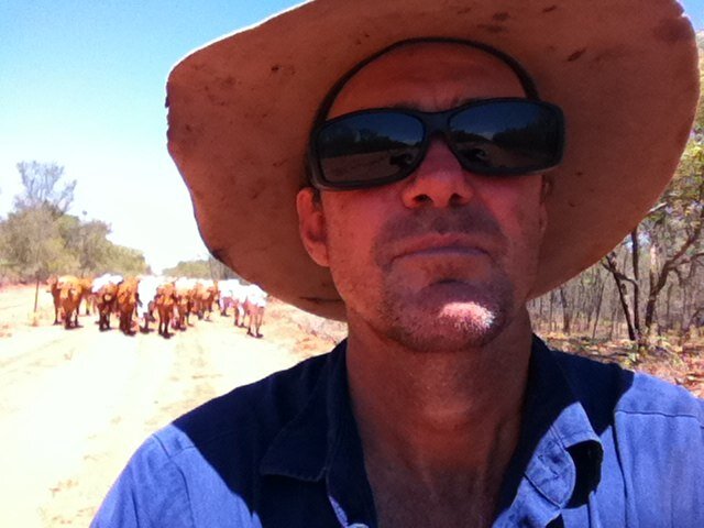 Formerly a rooster, now a feather duster! Trying to make a living out of cattle in the NT.