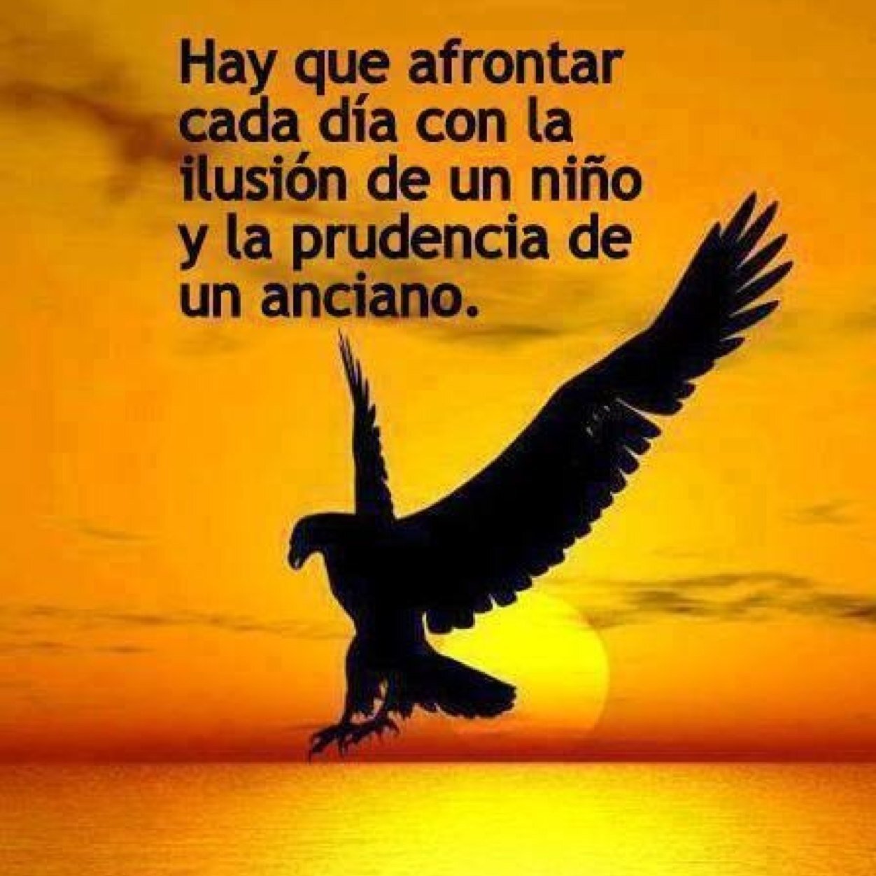 Naci en el D.F.