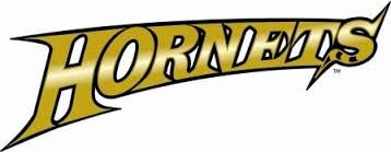 Twitter account run by ESU Tennis players! Working hard every day to do big things, follow us to show support and keep up with our program! #stingersup