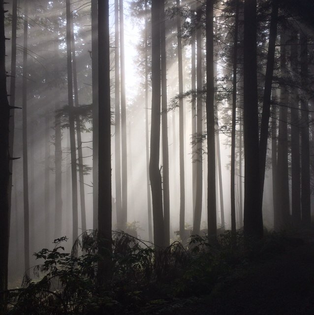 robcook_1's profile picture. 