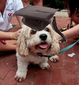 GWGradSpeaker's profile picture. Throwing out the best guesses at who's most qualified to address the GW Class of 2014. #RaiseHigh?

Sidenote: totally unaffiliated with GWU