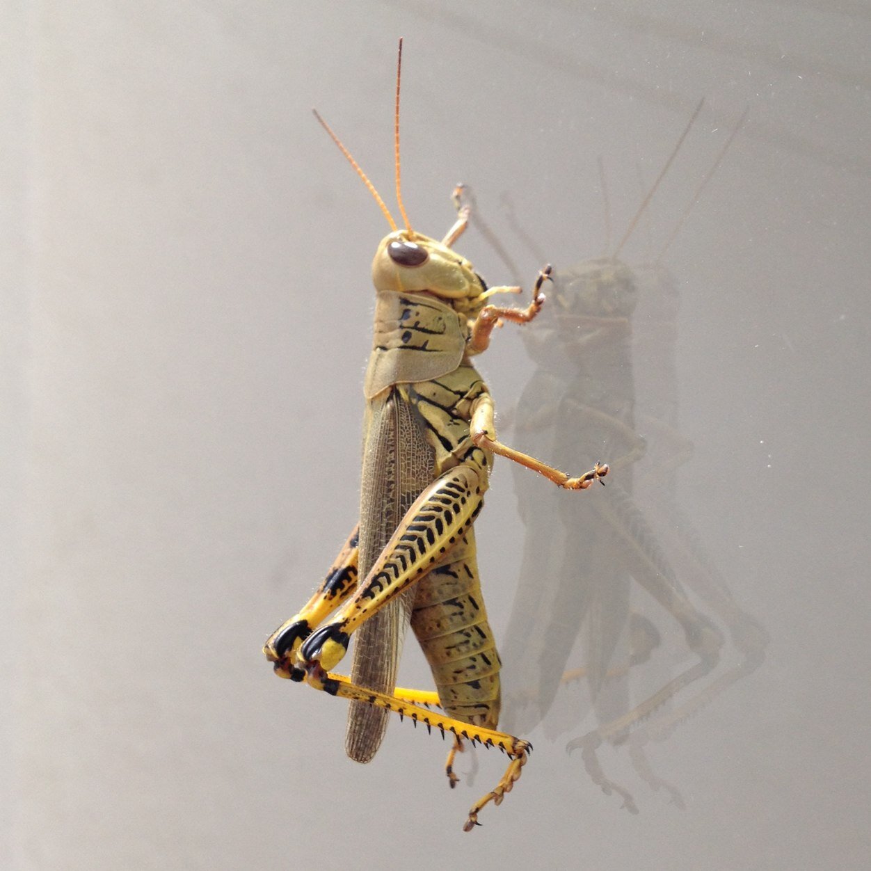 12Anastasio's profile picture. 