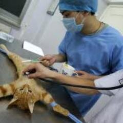 your average pre-vet student tweetin some not so average pre-vet problems

UD