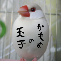 jetさんのプロフィール画像