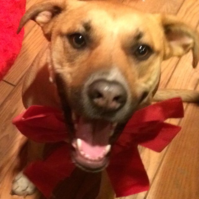 jbright90's profile picture. not srs