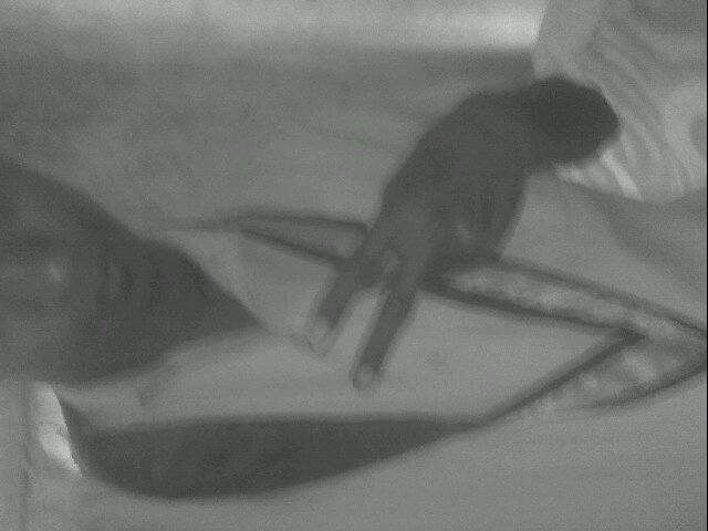 anto_pandie's profile picture. 