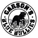 Carsons Blue Bullies - @TrentCarson1 - Twitter