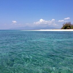 BangsringBreeze's profile picture. Bangsring Breeze is a tropical sanctuary laying on the slopes of the mighty Kawah Ijen volcano in East Java, with stunning views of Bali.