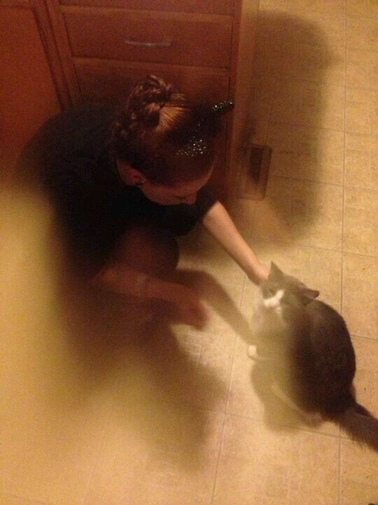 smittedkitten's profile picture. cats. bow ties. red velvet cake. booze. tattoos. avi is me