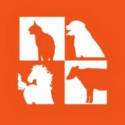 SAVAVET is an expression of our caring for companions, commonly those companions who stay real to the world of fellowship and selfless care.
