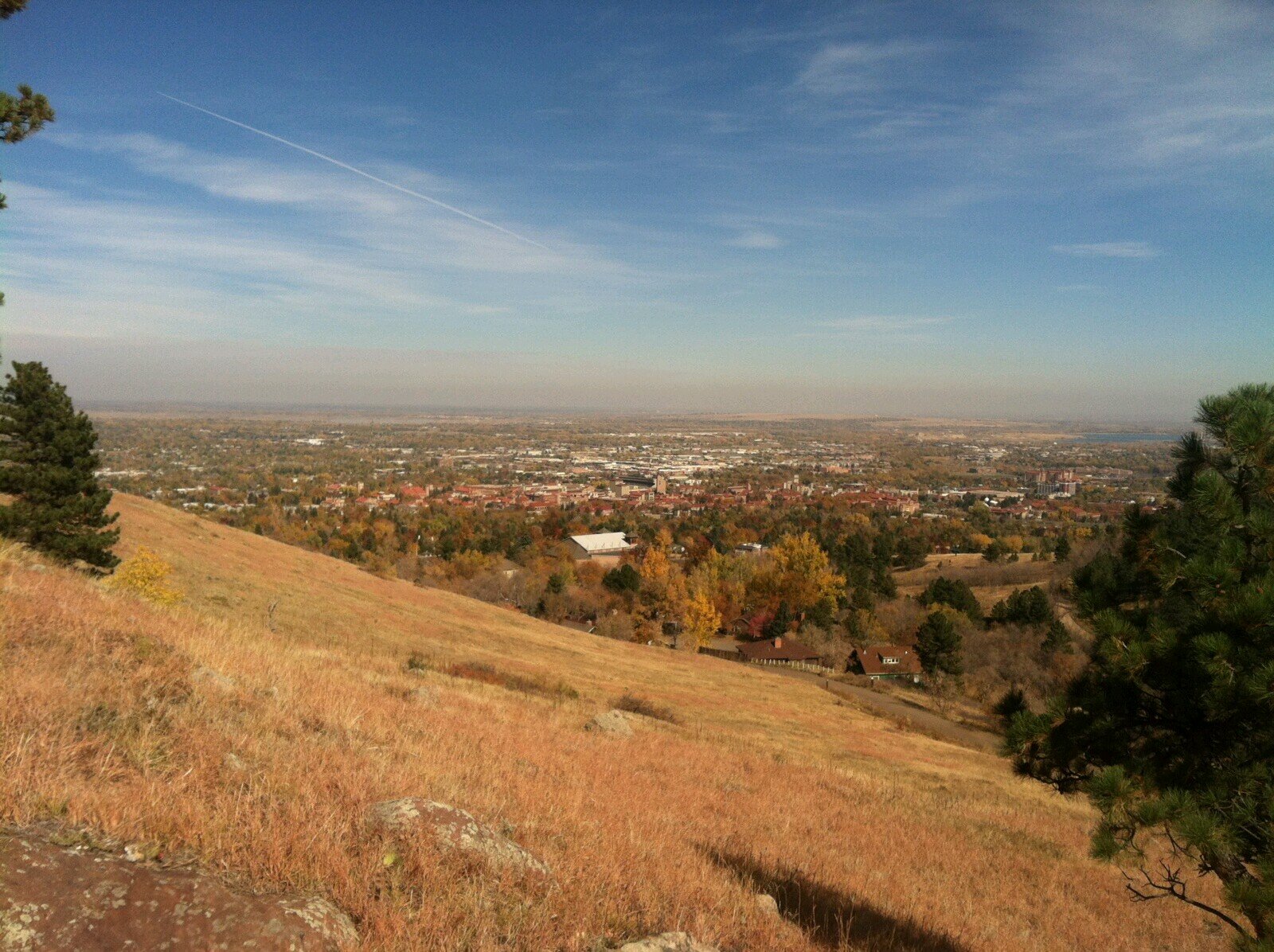 changeurlemons's profile picture. If live gives you lemons. make lemonade?  but what if you got exactly what you want from life. thus changing ur lemons