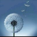 &&&-@@@ (@0987654321aaz85) Twitter