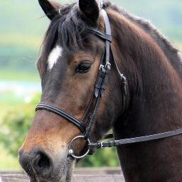 tackemupuk's profile picture. We are an internet based equestrian supplies company, based in Gloucester. We offer a variety of products for Horse and Rider, that can be supplied worldwide.