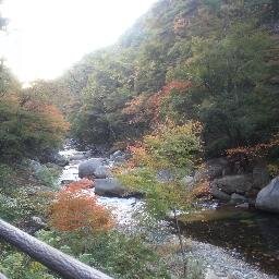 nob06759391's profile picture. メガネ(眼鏡)情報と野球情報をツィートします。 相互フォロー（WIN＆WIN）希望です。 （相互フォローされていない場合は、見つけ次第こちらもフォローいたしませんので悪しからず）