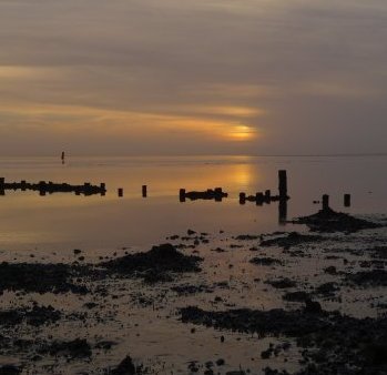 Op Vlieland leeft je dicht bij de natuur | Het ritme van de natuur synchroniseert jouw leven | Natuurlijk Vlieland