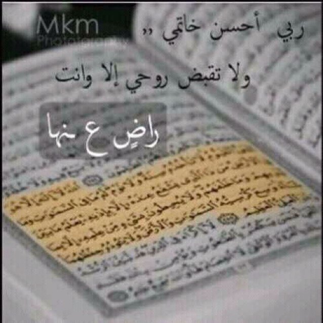 شامخ .. وعزتي في ديني .