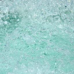 evebenhamou's profile picture. 