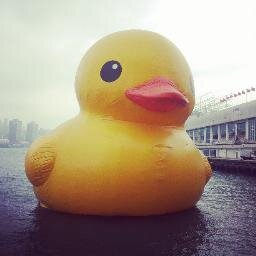 littlecoolbug's profile picture. New to Twitter.
Not working. Just a college student.