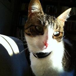 sgialouri's profile picture. 