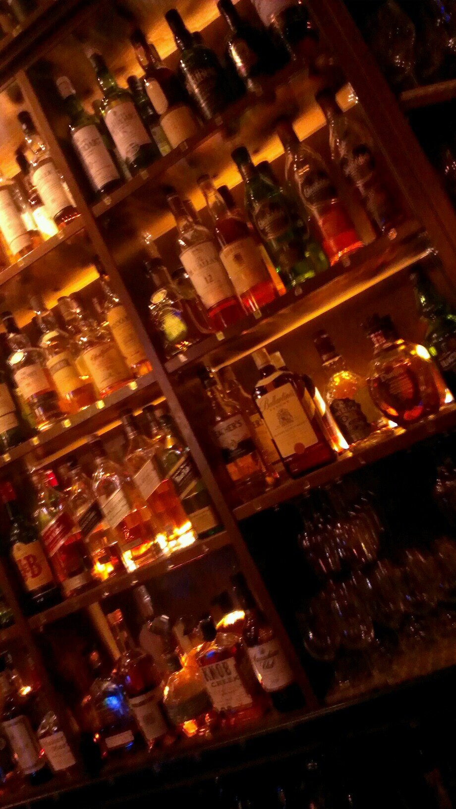 bittoun22221280's profile picture. 