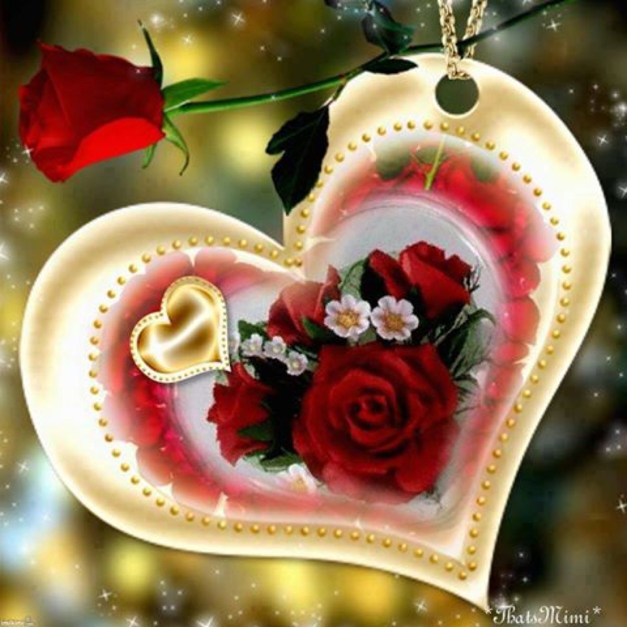 laura__305's profile picture. يقول سامح زمانك والحزن خبه 
واقول منهو يعوضني مخاسيري