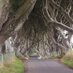 NorthernIrelandTours (@nitours) Twitter profile photo