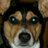 GeNemesis13's profile image