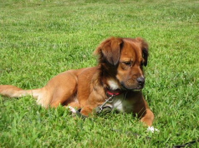 Mlynch4A's profile picture. 