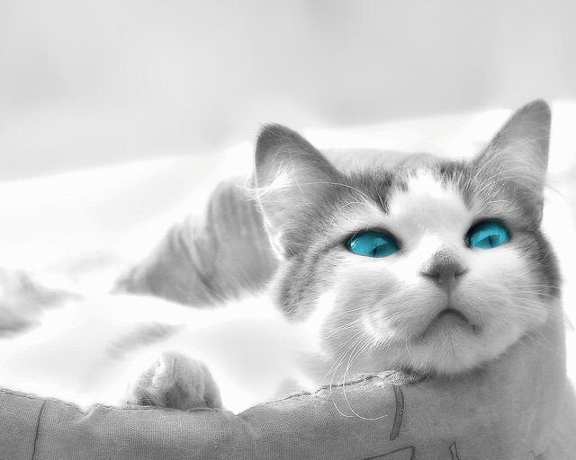 がんばりま～す♪相互フォロー大歓迎だよ！