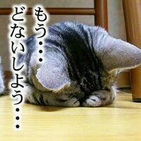 あるく (@ayumu_tomaru) 's Twitter Profile Photo あるく (@ayumu_tomaru) 's Twitter Profile Photo
