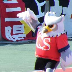 道産子コンササポ。ワシスタント。ラグビーファン。コンサトップ応援歴24年(2001年頃～)、ユースビョーキ歴17年(2008年頃～)。主にユースの試合・月寒・東雁来に出没。北海道のチームは見境なく応援します。今季は #4 を着用。 #40 を待機