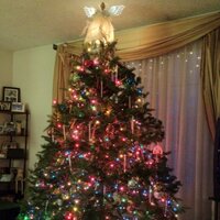 Donald Guckes (@sekcug) Twitter profile photo