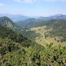 RM10000RM's profile picture. Wanderer, Politinteressierter