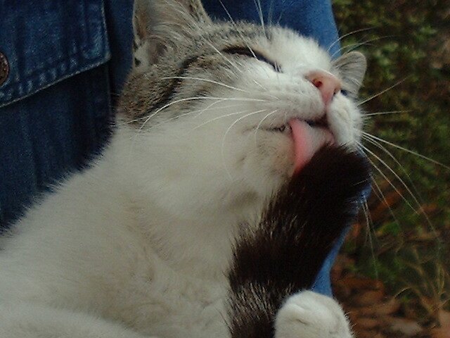 相互フォロー大募集♪仲良くしてね～！