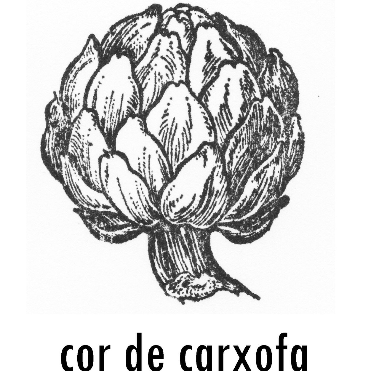 Cor de Carxofa Profile