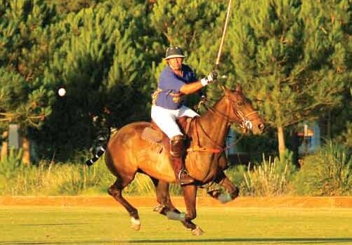 Amante del deporte y los caballos - AntiK sin fronteras, critico de lo malo.
