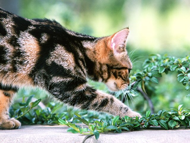 のんびり行きましょう♪相互フォロー募集してますよ～。