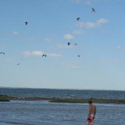 Will_DsRs's profile picture. 